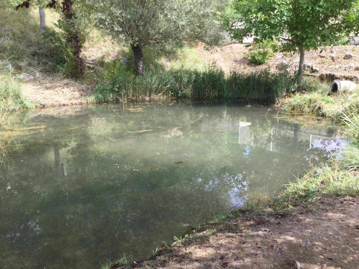 Mazet Lavande Saint-Martin-de-Brômes Exteriér fotografie