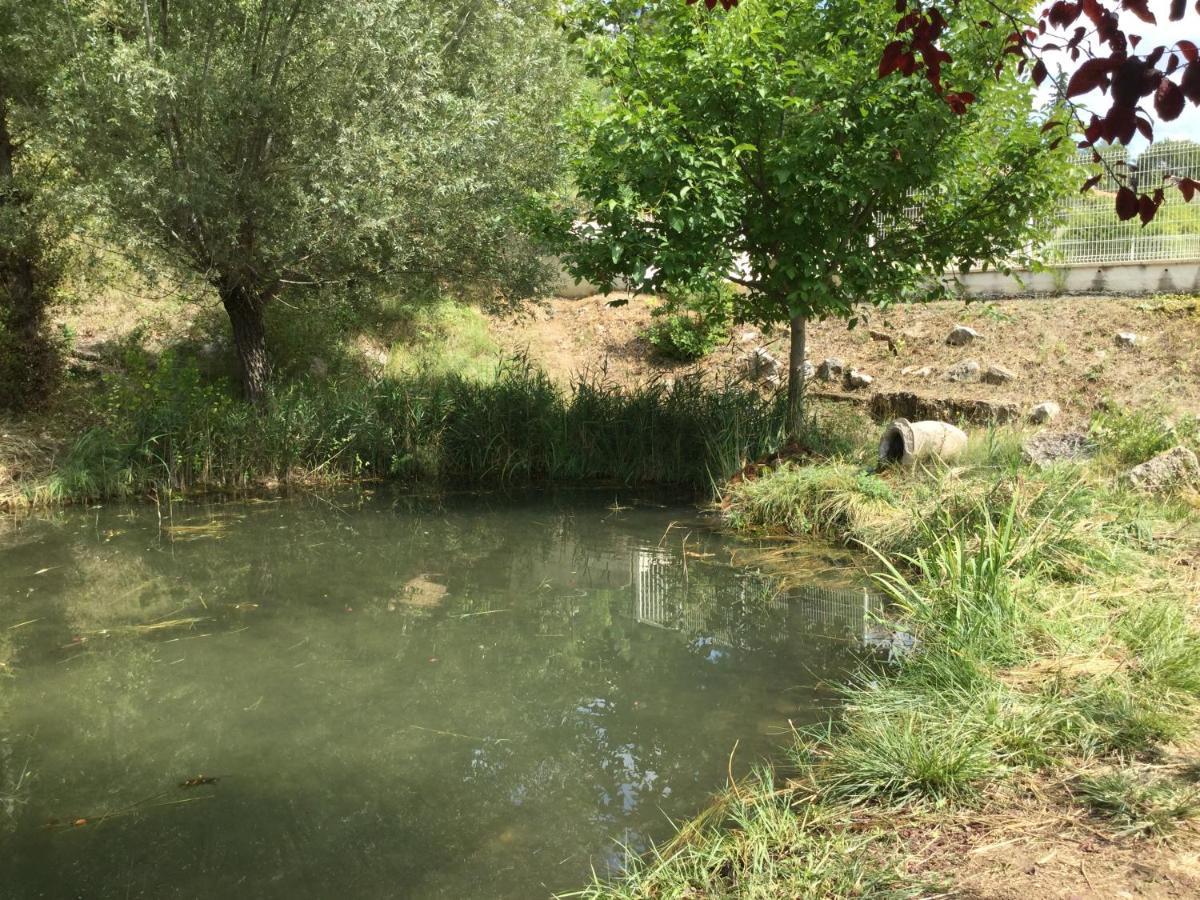 Mazet Lavande Saint-Martin-de-Brômes Exteriér fotografie